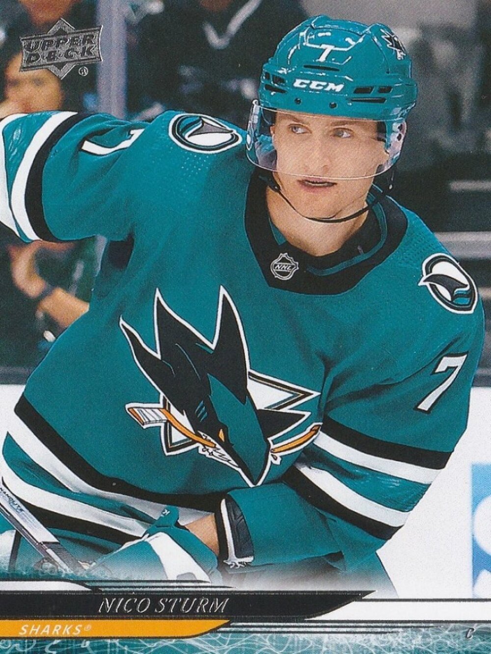 Nico Sturm - 2024/2025 Upper Deck Series 2 Hockey Card